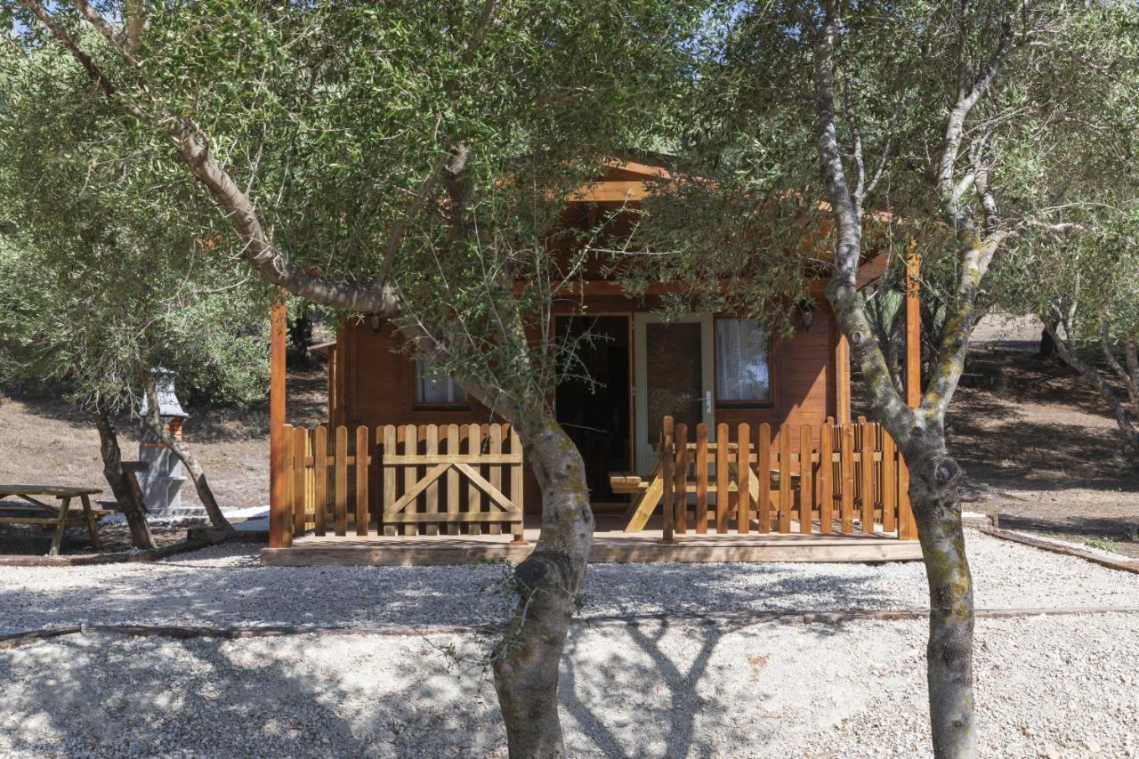 Finca Florida Benalup-Casas Viejas Ngoại thất bức ảnh
