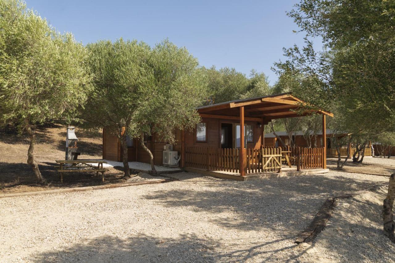 Finca Florida Benalup-Casas Viejas Ngoại thất bức ảnh