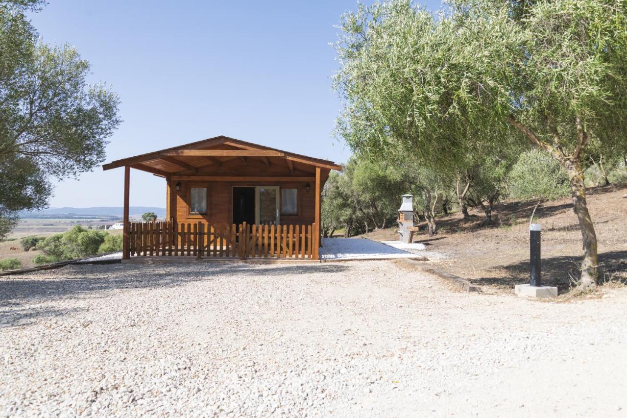 Finca Florida Benalup-Casas Viejas Ngoại thất bức ảnh